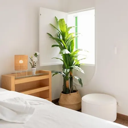 Sunset Terrace - Beachfront With Private Parking Appartement